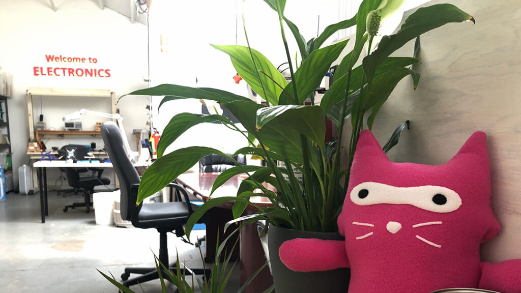 Plushy, plant, bright space